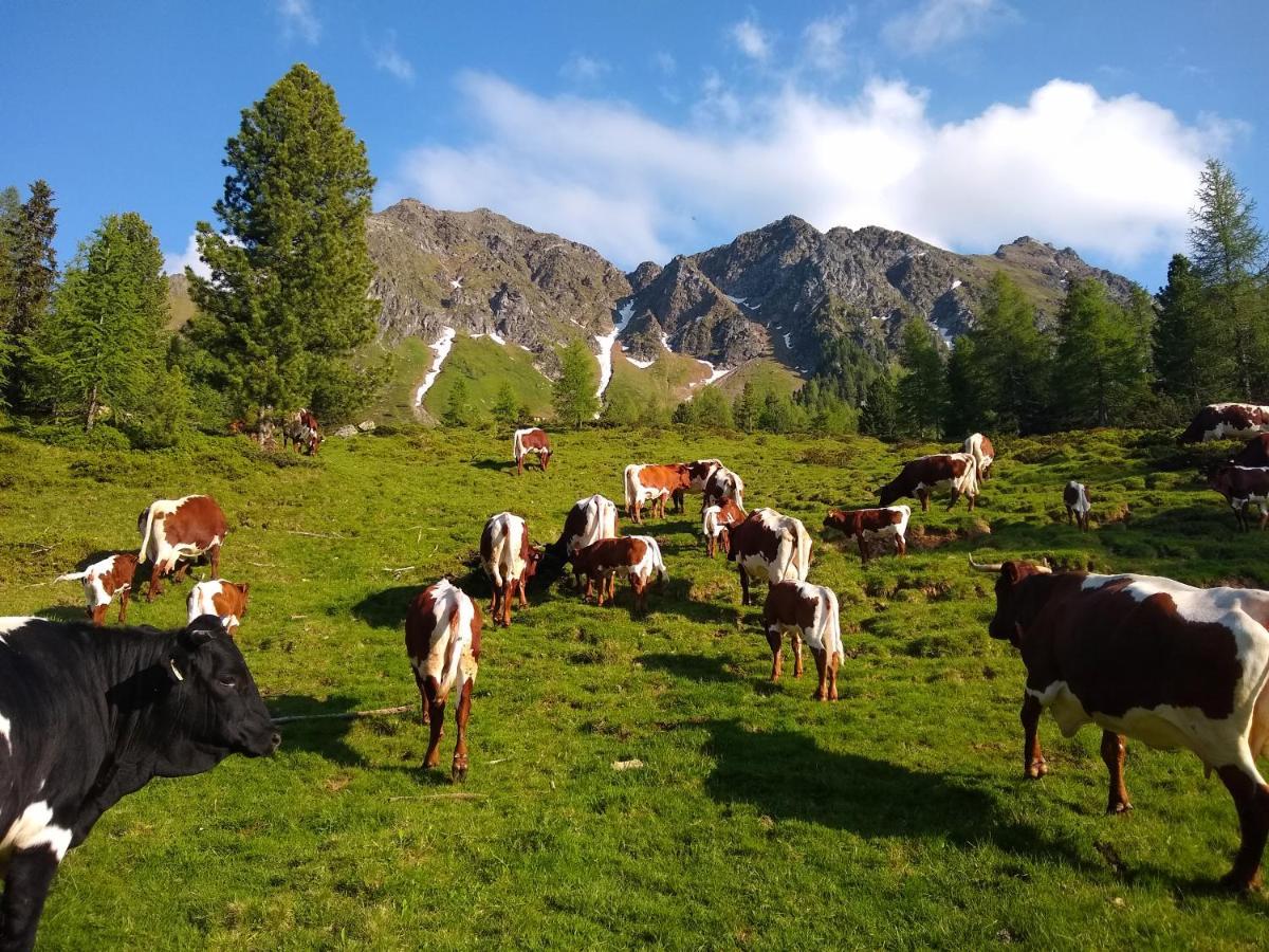 Sauschneidhof - Radstadt Dış mekan fotoğraf