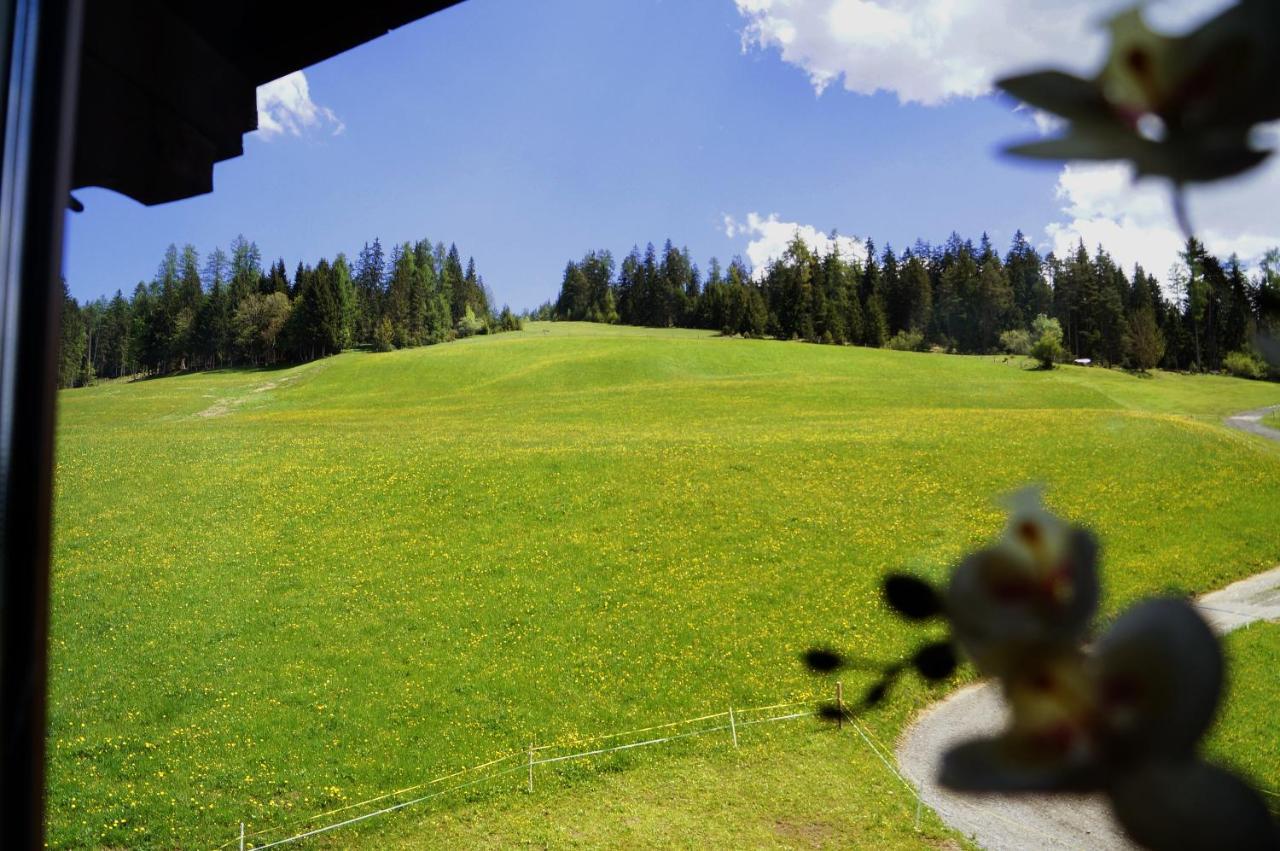 Sauschneidhof - Radstadt Dış mekan fotoğraf